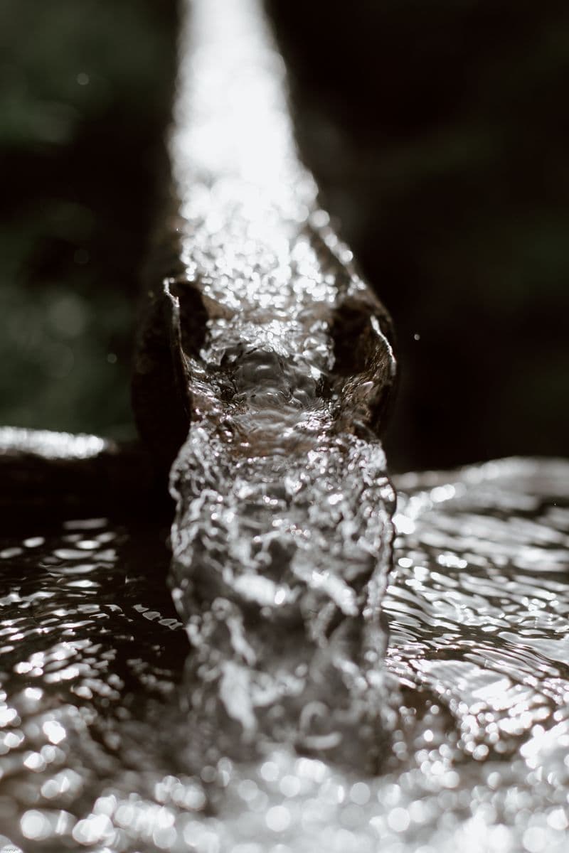 Wirral Gutter Care professional service