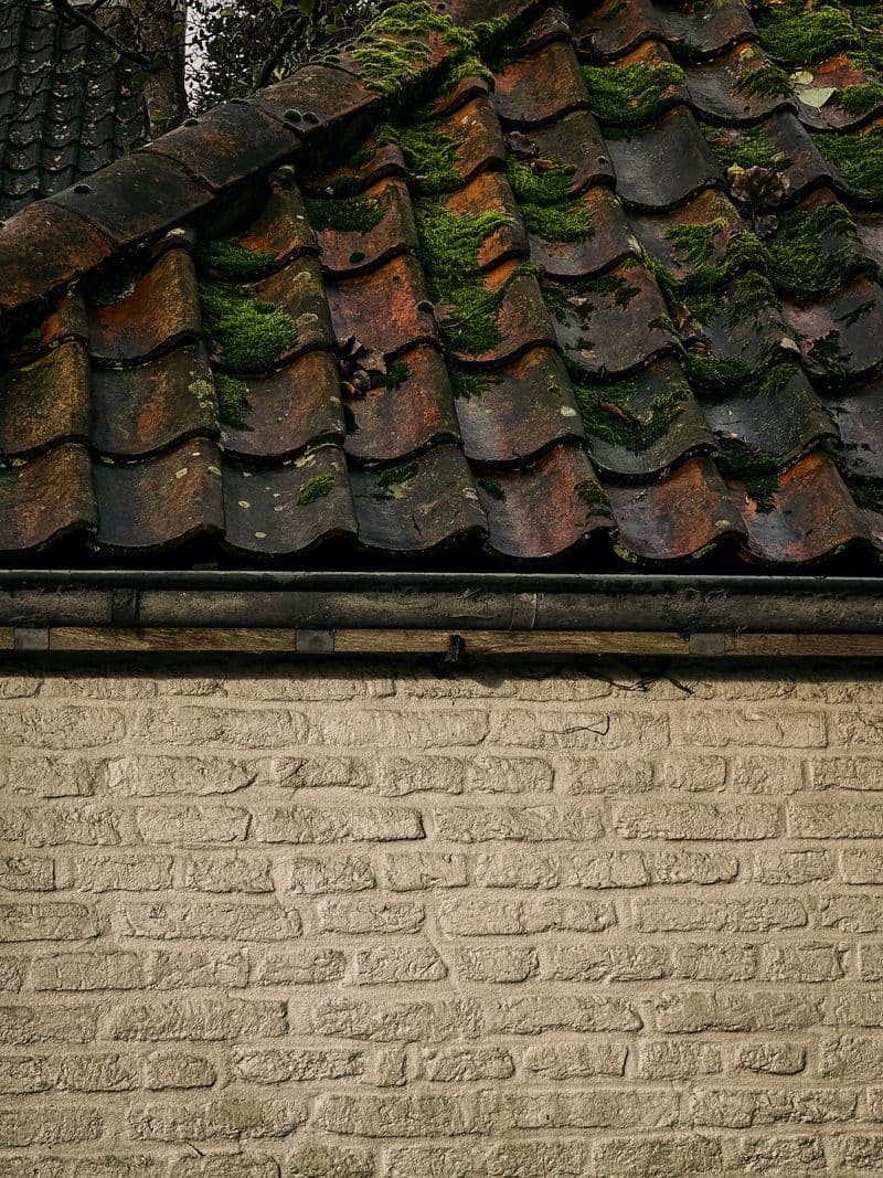 Roof Cleaning